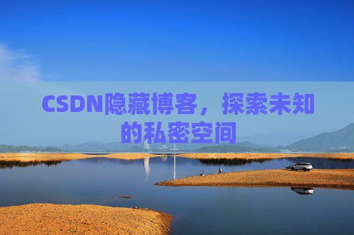 CSDN隐藏博客，探索未知的私密空间
